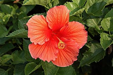 《战地6》大量灵感源于2010年《叛逆连队2》的破坏系统